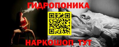 молекула духа Обь