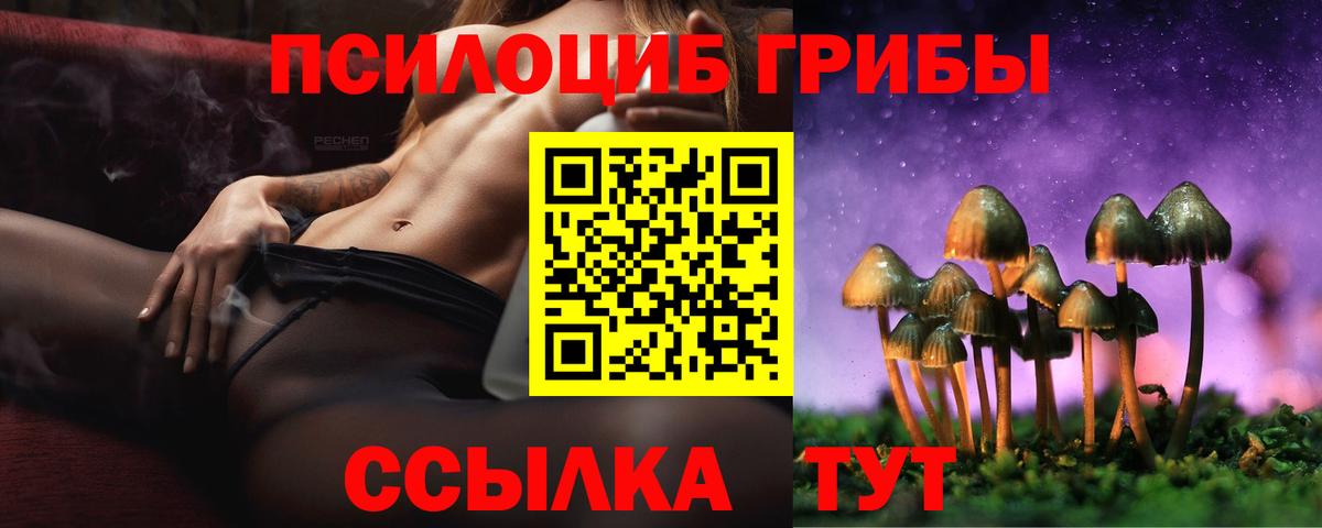 Тайшет  Псилоцибиновые грибы Magic Shrooms  Вход с VPN 